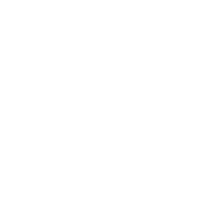 White Steve Ray Law logo